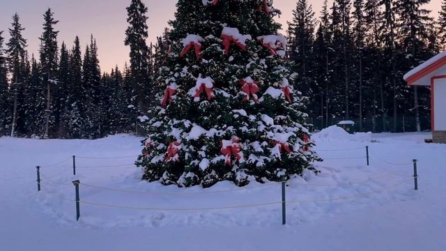 ШТАТ АЛЯСКА/СЕВЕРНОЕ СИЯНИЕ/ ОДЕЖДА древних индейцев (Часть 2) смотреть онлайн