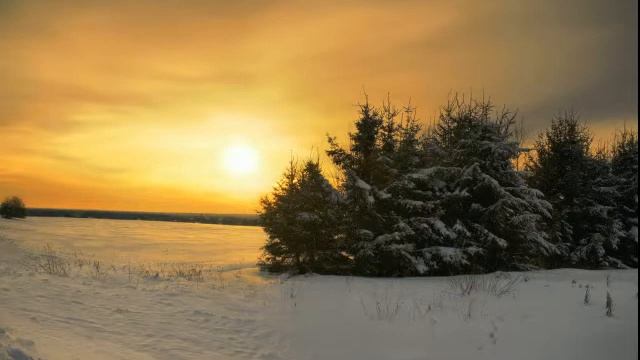 Ovchinnikov SY01 ShostakovichMaxim смотреть онлайн