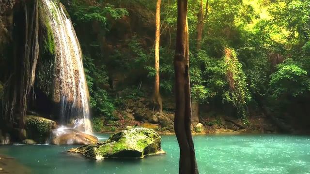 Музыка для снятия стресса и тревоги смотреть онлайн