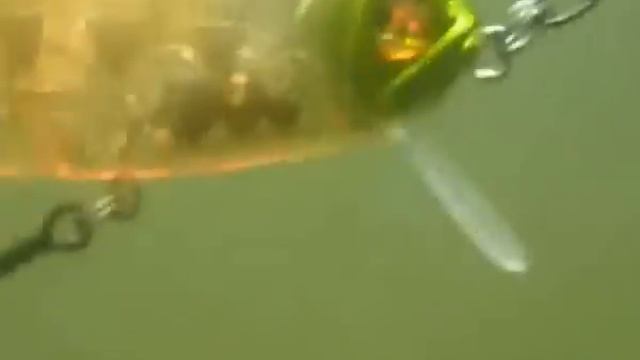 Pontoon 21 Danzante J2