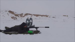 Отстрел патронов 308 win