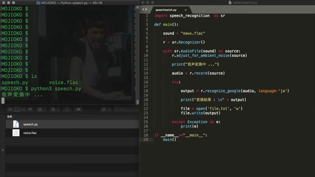 Pythonで音声ファイルの文字起こしSpeech Recognition using Python Speech(JP) → Text　#speechrecognition #文字起こし смотреть онлайн