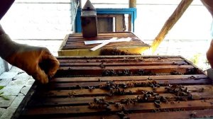 Ленивый пчеловод.Навес над ульями своими руками.Когда ждать рой