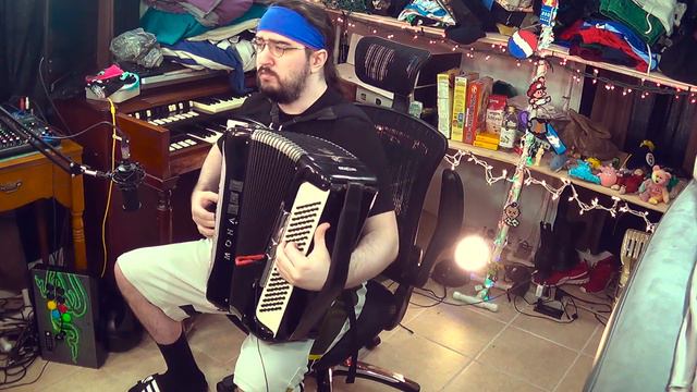 Dvorak Symphony No. 9 - 4th movement intro (on accordion) смотреть онлайн