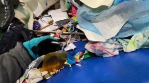 США ?? КАКАШКИ МЕНЯ ПРЕСЛЕДУЮТ! ? СВАЛКА / БАРАХОЛКА В АМЕРИКЕ. ОБЗОР НАХОДОК СЕКОНДХЕНД САШАЛ