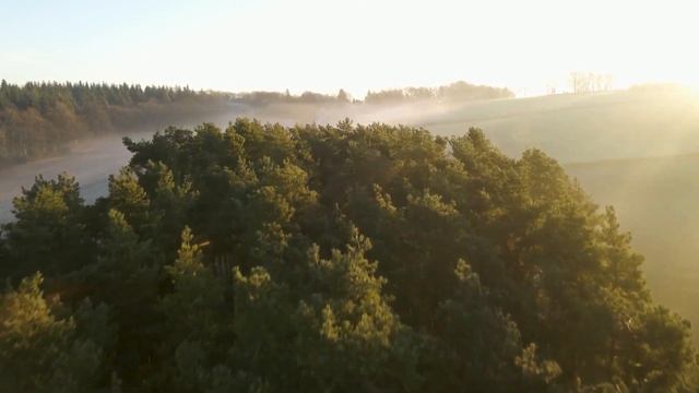 Путешествия во времени возможны смотреть онлайн