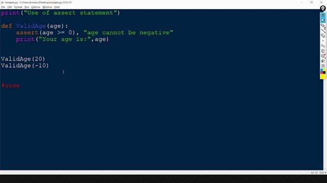 Computer Science 12th - 04 | Assert statement in python | Exception Handling in Python смотреть онлайн
