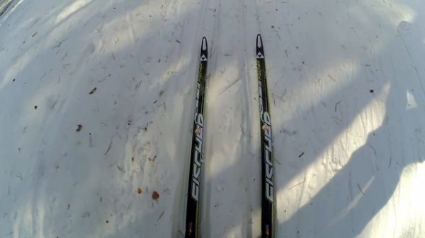 Тест лыж Madshus Nanosonic Carbon Skate