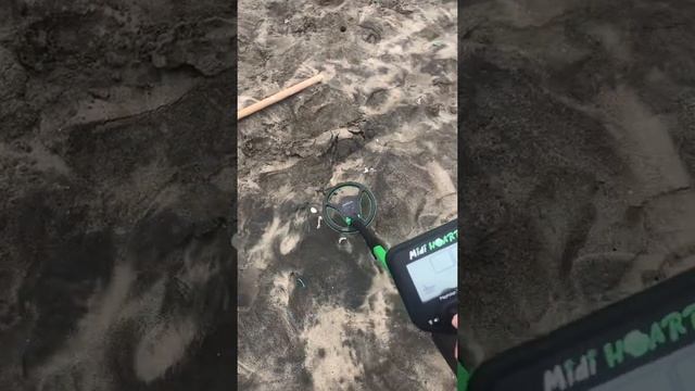 Proyecto Alray: Detector de metales MIdi Hoard de Nokta Makro смотреть онлайн