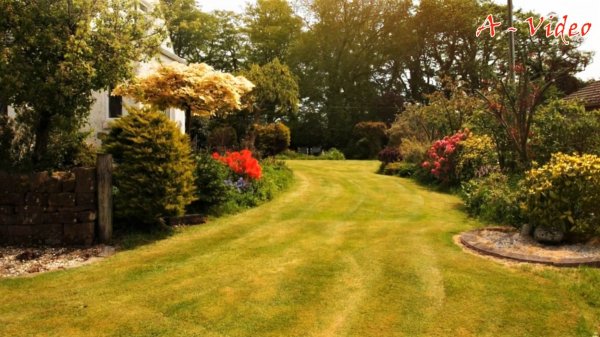 ?Творческие идеи для дачи и загородного дома / Best Examples of Beautiful Gardens / A - Video