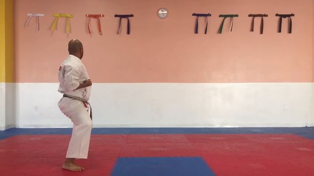 Short Form 1, American Kenpo Kata (White Belt) смотреть онлайн