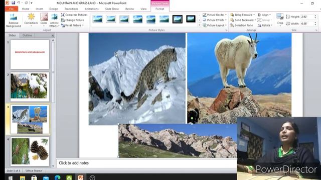 Mountain habitat and Grass land habitat. смотреть онлайн