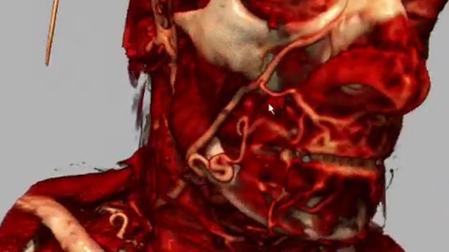 DVR shadows смотреть онлайн