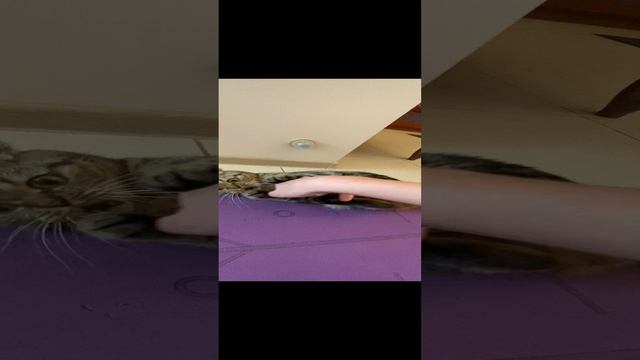 Доброе утро ? #geravna #любовь #приколы