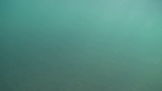 Воблер СТРАЙК ПРО ИНКВИЗИТОР 110 И 80, Обзор воблера на щуку, Твичинг Strike Pro Inquisitor 110sp смотреть онлайн