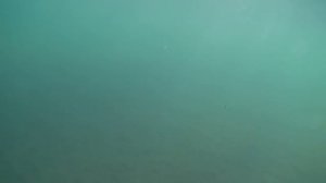 Воблер СТРАЙК ПРО ИНКВИЗИТОР 110 И 80, Обзор воблера на щуку, Твичинг Strike Pro Inquisitor 110sp