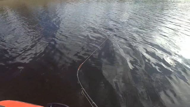 Щука на живца. День 3. смотреть онлайн