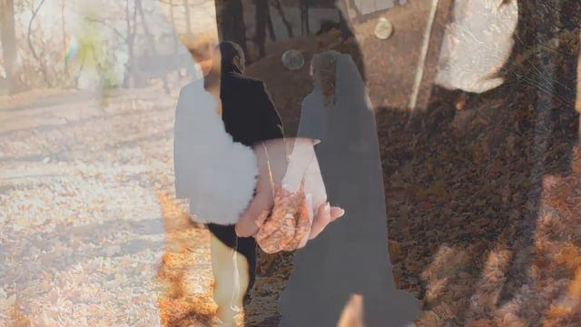 Свадьба в Бобруйске, свадебное слайд-шоу из фотографий. смотреть онлайн