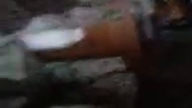 Говори,я тебя спалил!!! смотреть онлайн