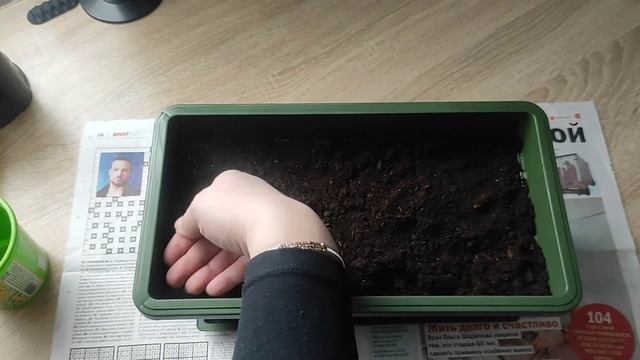 Набор вырасти дерево. Помидоры черри на подоконнике. Посадка. смотреть онлайн