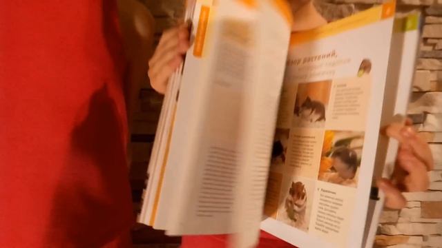 Покупка для наших хомяков . Книга про хомяка " Мой хомячок "Purchase our hamsters смотреть онлайн