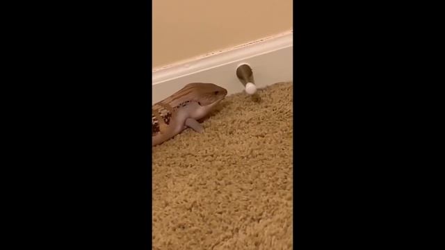 Забавные кубики. Подборка приколов. Vo23 смотреть онлайн