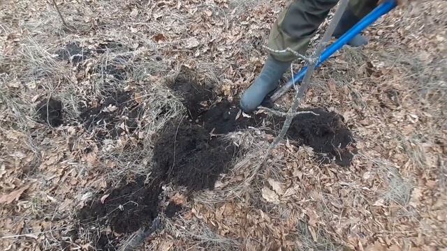 Металлокоп 2021 | Приехали в посадку и не разачеровались! | Коп чермета в посадке | Коп металла смотреть онлайн
