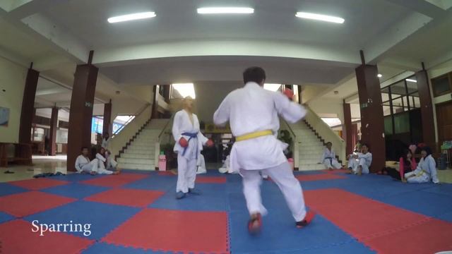 Karate UAD смотреть онлайн