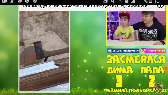 Хитрый лис (нарезка) смотреть онлайн