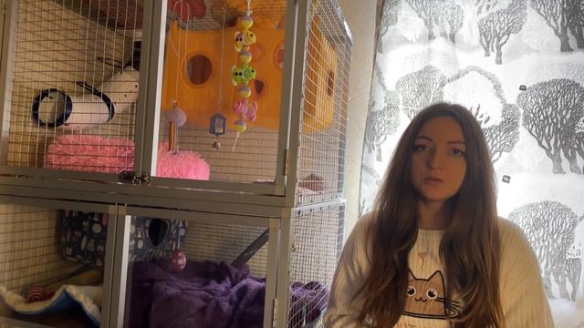 Как выбрать сухой корм хорьку. Состав сухих кормов. смотреть онлайн