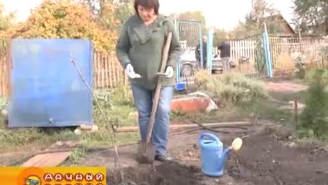 Весна - пора закладки 