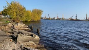 Осенняя прогулка