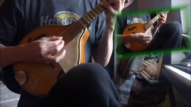 What we do in the Shadows Soundtrack (Mandolin Cover) смотреть онлайн