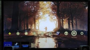 ИНИЦИАЛИЗАЦИЯ PS4