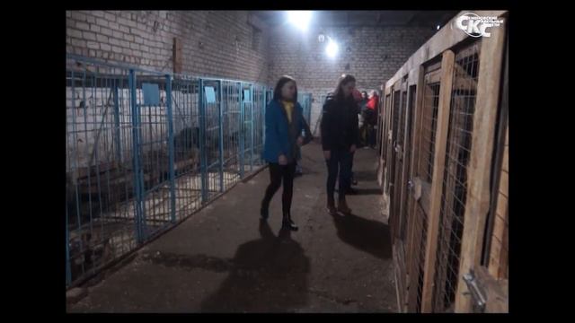 Большая помощь-маленькому другу смотреть онлайн