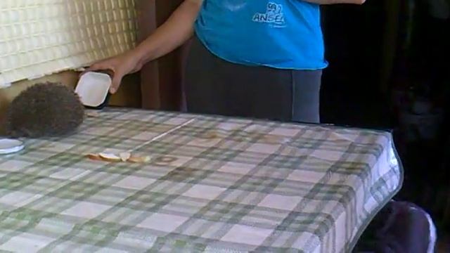 Отдайте, это я нашла.mp4 смотреть онлайн