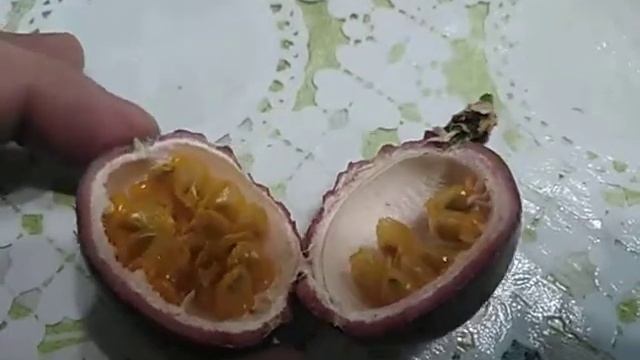 Маракуйя на Урале смотреть онлайн