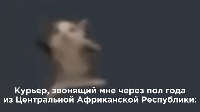 Я: Пытаюсь уснуть перед важным экзаменом смотреть онлайн