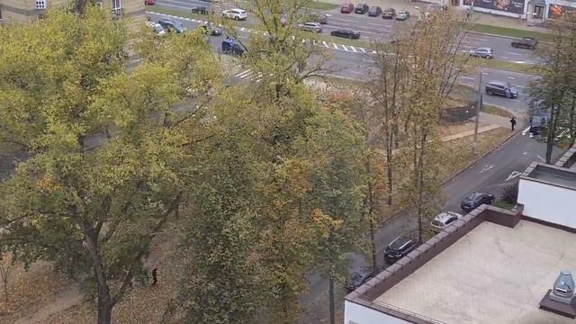 ОМОНовцы пытаются догнать велосипедиста на улице Грибоедова в Минске смотреть онлайн