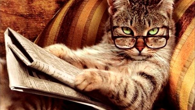 Какое ЖИВОТНОЕ умнее ЧЕЛОВЕКА? Самые Разумные Животные в Мире Гениальные Дельфин Обезьяна Собака Ко смотреть онлайн