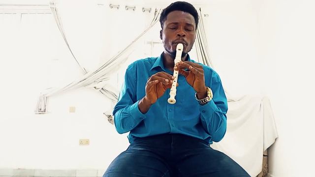 The Swan from Carnival of the Animals (Recorder cover) смотреть онлайн