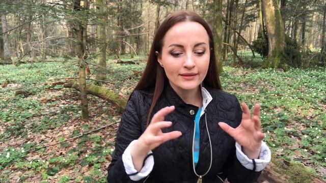 Когда нет мотивации идти к цели. Техника "Усилитель желаний" смотреть онлайн
