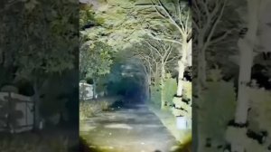 Мощный Светодиодный Лазерный Фонарь