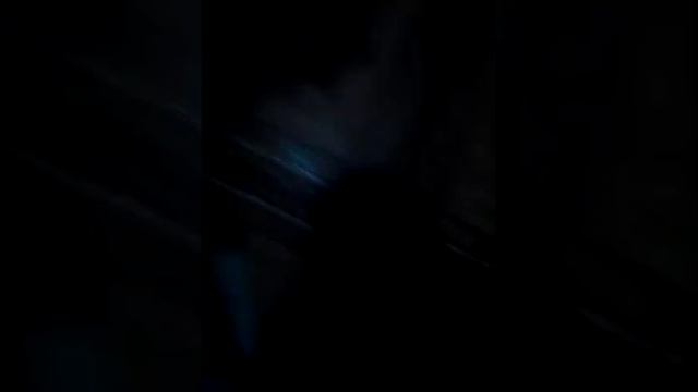 Дресеровка шарпея