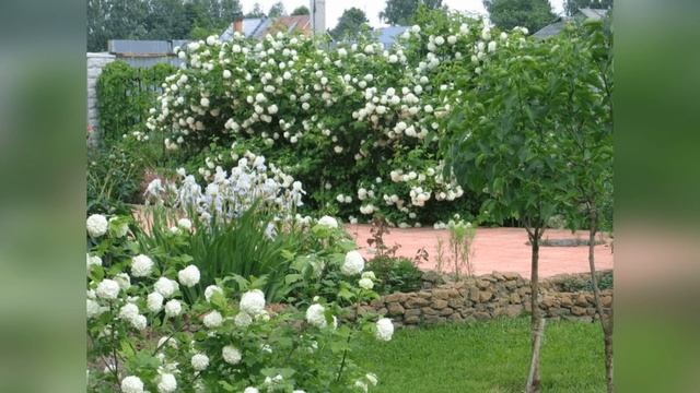 Бульденеж смотреть онлайн