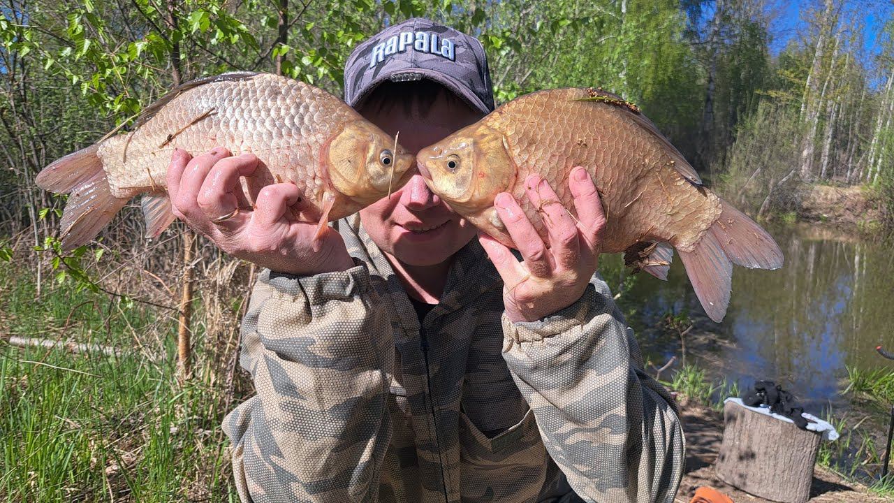 ГИГАНТСКИЙ КАРАСЬ НА ПОПЛАВОК ! Рыбалка на карася. Весенняя ловля на удочку как в детстве. смотреть онлайн
