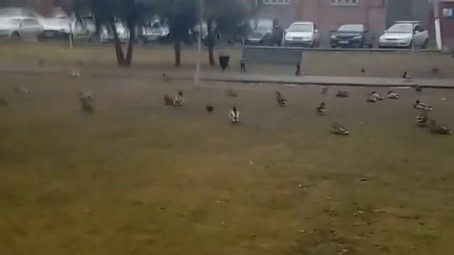 Тверь 2 Часть. смотреть онлайн