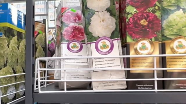 25 марта 2023 г. МАТЕРИК МИНСК именно сегодня именно сейчас РОЗЫ, КЛЕМАТИСЫ, ПИОНЫ и САЖЕНЦЫ. #сад смотреть онлайн