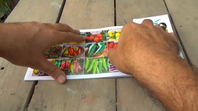 705# Informative Talk on Summer Season Vegetables + Flowers Plants | Don't Skip This Video смотреть онлайн