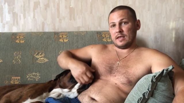 НЕМЕЦКАЯ ОВЧАРКА НАПАЛА НА БОКСЕРА.АТАКА смотреть онлайн